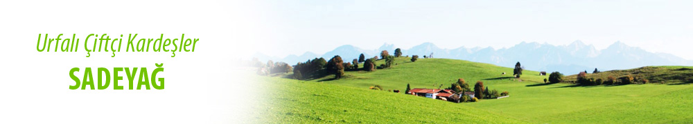 Sadeyağ